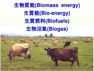 生物質能 (Biomass energy) 生質能 (Bio-energy) 生質燃料 (Biofuels) 生物沼氣 (Biogas)