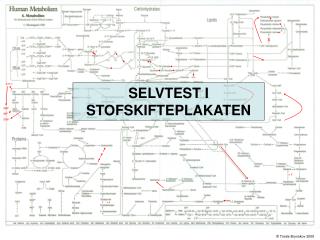 SELVTEST I STOFSKIFTEPLAKATEN