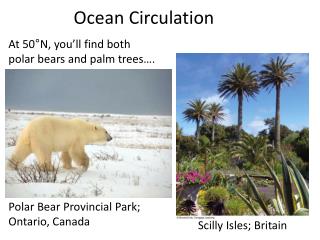 Ocean Circulation