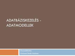 Adatbáziskezelés - Adatmodellek