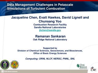 Data Management Challenges in Petascale Simulations of Turbulent Combustion