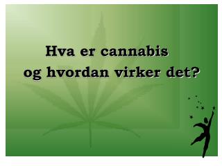 Hva er cannabis og hvordan virker det?