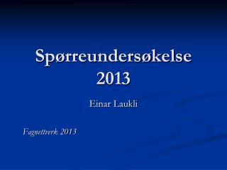 Spørreundersøkelse 2013