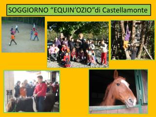 SOGGIORNO “EQUIN’OZIO”di Castellamonte