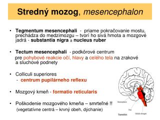 Stredný mozog , mesencephalon