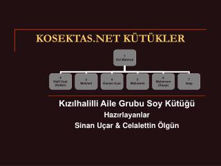 KOSEKTAS.NET KÜTÜKLER