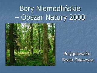 Bory Niemodlińskie – Obszar Natury 2000