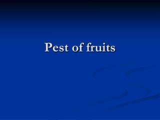 Pest of fruits