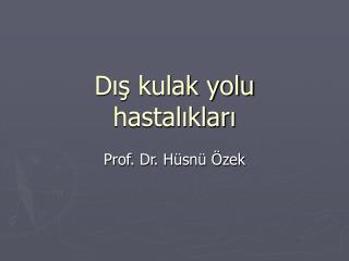 Dış kulak yolu hastalıkları