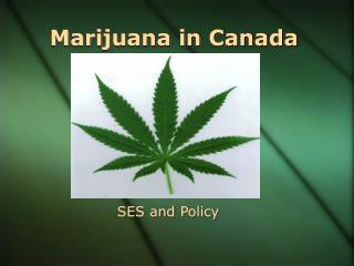 Marijuana in Canada