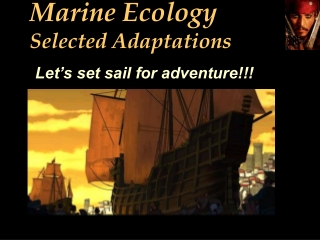 Marine Ecology Selected Adaptations