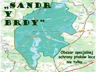 „Sandry Brdy”