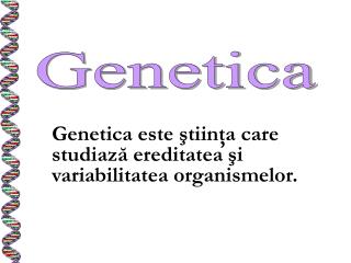 Genetica este ştiinţa care studiază ereditatea şi variabilitatea organismelor.