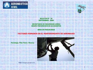 BOLETIN Nº 3 6 SEPTIEMBRE 2008 SECRETARIA DE SEGURIDAD AEREA GRUPO PREVENCION DE ACCIDENTES