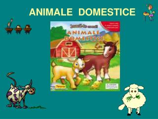 ANIMALE DOMESTICE