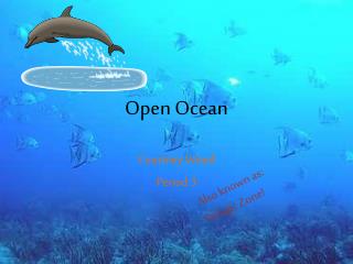 Open Ocean