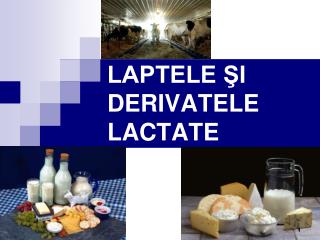 LAPTELE ŞI DERIVATELE LACTATE