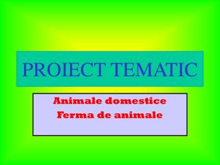 PROIECT TEMATIC