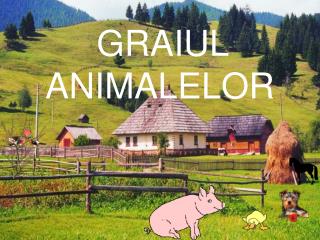 GRAIUL ANIMALELOR