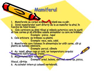 Mamiferul