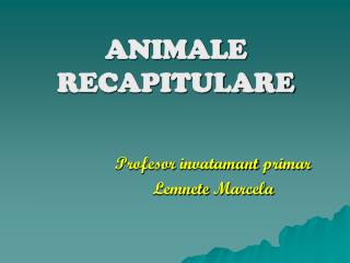 ANIMALE RECAPITULARE