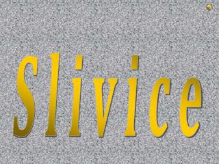 Slivice