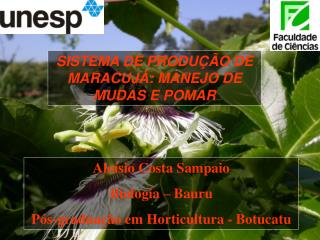 SISTEMA DE PRODUÇÃO DE MARACUJÁ: MANEJO DE MUDAS E POMAR