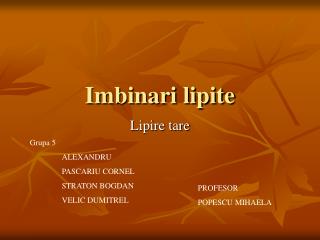 Imbinari lipite