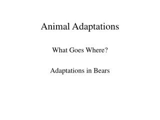 Animal Adaptations