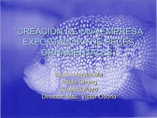 “CREACION DE UNA EMPRESA EXPORTADORA DE PECES ORNAMENTALES”