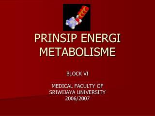 PRINSIP ENERGI METABOLISME