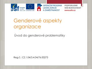 Genderové aspekty organizace