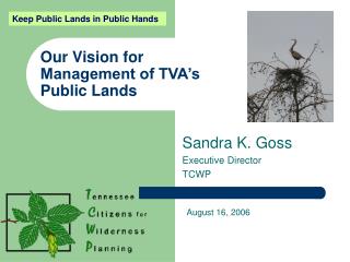 Our Vision for Management of TVA’s Public Lands