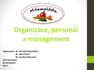 Organizace, personál a management