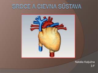 Srdce a cievna sústava