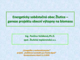 Energeticky soběstačná obec Žlutice – geneze projektu obecní výtopny na biomasu