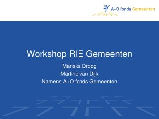 Workshop RIE Gemeenten