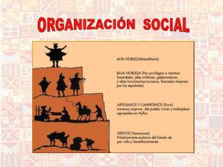 ORGANIZACIÓN SOCIAL