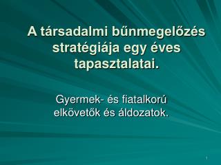 A társadalmi bűnmegelőzés stratégiája egy éves tapasztalatai.