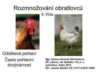 Rozmnožování obratlovců