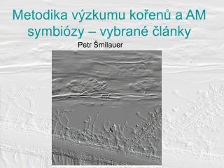 Metodika výzkumu kořenů a AM symbiózy – vybrané články