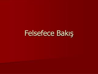 Felsefece Bakış