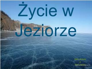 Życie w Jeziorze