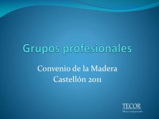 Grupos profesionales