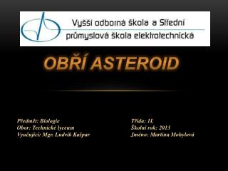 Obří asteroid
