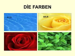 DİE FARBEN