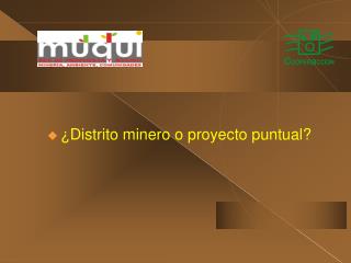 ¿Distrito minero o proyecto puntual?