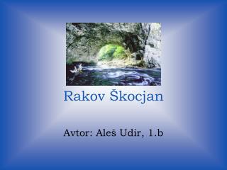 Rakov Škocjan