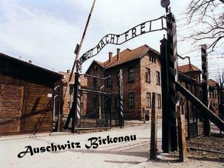 Auschwitz Birkenau