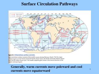 Surface Circulation Pathways